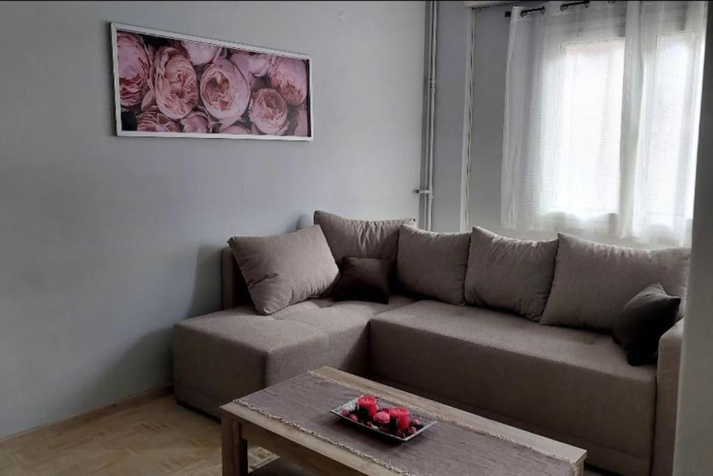 Appartamento Nephiria'S Cozy Apt In Kerkira! Corfu  Esterno foto